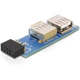 Delock 9pol USB 2.0 Adapter für 2x USB 2.0 Buchse (41820.)
